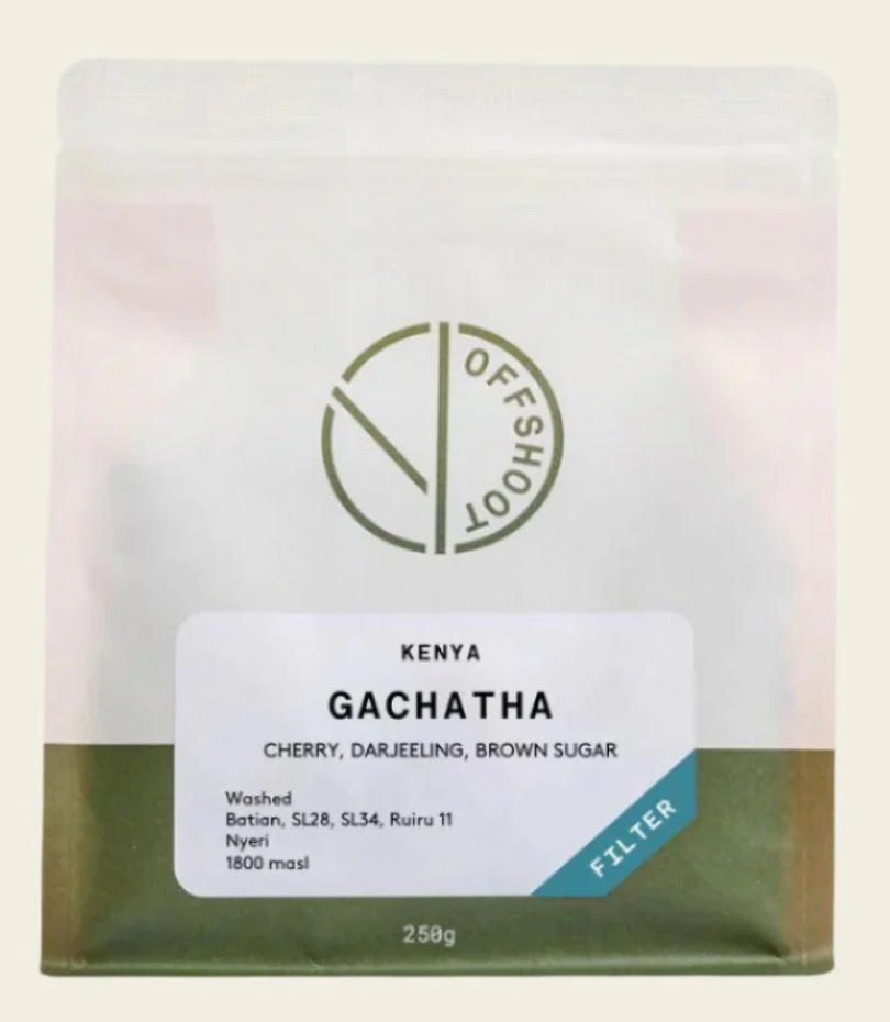 Offshoot Coffee Gachatha