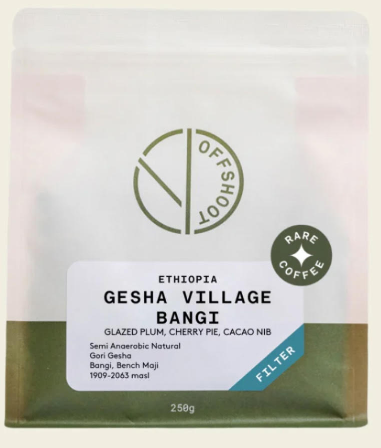 Offshoot Coffee Gesha Village - Bangi *Rare*