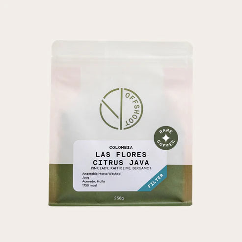 Offshoot Coffee  Las Flores - Citrus Java *rare*