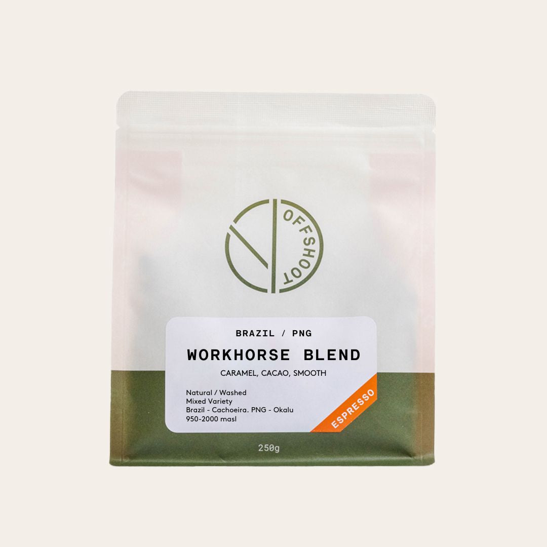 Offshoot Coffee  Workhorse Blend